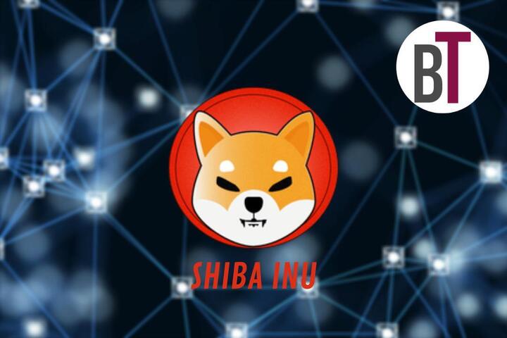 BourseTrading.Info 23 avis shiba inu 720 BourseTrading.Info